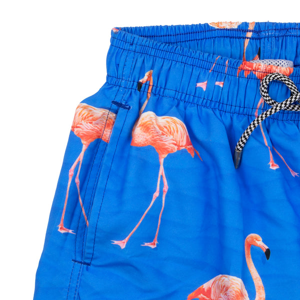 Traje De Baño Wave Motion Flamenco Diva Blue