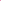 Tenis Polo Ralph Lauren Style Seaport Fucsia